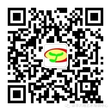 微信号:lpddyishu
